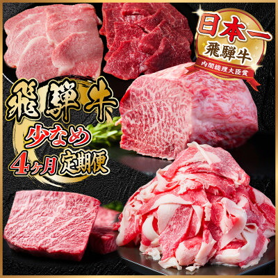 【ふるさと納税】【毎月定期便】飛騨牛 少なめ定期便 計1.3kg 全4回 ステーキ 焼肉 切り落とし 赤身ブロック肉【配送不可地域:離島】【4055499】|岐阜県羽島市