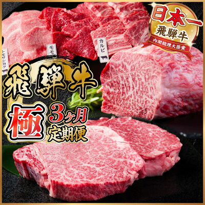 【ふるさと納税】【毎月定期便】飛騨牛 極定期便 計1.7kg【冷蔵便】A4～A5等級 シャトーブリアンほか 全3回【配送不可地域：離島】【4055508】