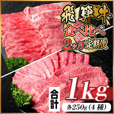 【ふるさと納税】飛騨牛　霜降り・赤身食べ比べセット　2ヶ月定期便　計1kg～　A4～A5等級　【冷凍便】　黒毛和牛【配送不可地域：離島】【G4057105】