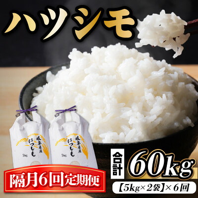 【ふるさと納税】【2ヵ月毎定期便】岐阜県産ハツシモ 10kg(精米5kg×2袋)全6回【4059936】|岐阜県羽島市