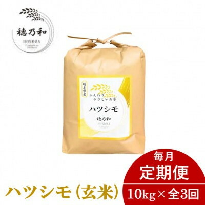 【ふるさと納税】【発送月固定定期便】【先行予約】岐阜県産ハツシモ(玄米)10kg全3回【配送不可地域：離島】【4067040】