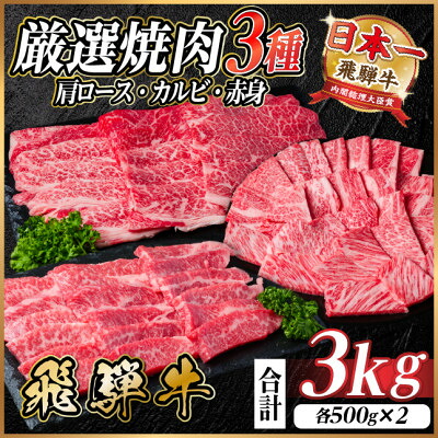 【ふるさと納税】飛騨牛　厳選焼肉3種(肩ロース・カルビ・赤身)　計3kg(各1kg) 黒毛和牛　小分け【配送不可地域：離島】【1669125】