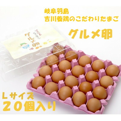 【ふるさと納税】吉川養鶏のグルメ卵　Lサイズ20個(割れ保証4個含む)羽島観光協会推奨【はしまブランド】認定品_ 卵 たまご タマゴ グルメ卵 新鮮 臭みを抑えた 卵黄 濃厚 卵白 美味しい 卵かけご飯 送料無料 【1715941】