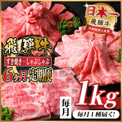 【ふるさと納税】【毎月定期便】飛騨牛　厳選すき焼き・しゃぶしゃぶ用　定期便　1kg全6回【配送不可地域：離島】【4072497】