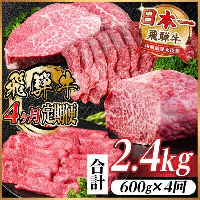 【ふるさと納税】【毎月定期便】飛騨牛 赤身定期便 計2.4kg 焼肉 BBQ すき焼き しゃぶしゃぶ ブロック全4回【配送不可地域：離島】【4072650】