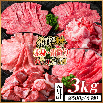 【ふるさと納税】【毎月定期便】飛騨牛　赤身・霜降り定期便　計3kg カルビ・ロース(焼肉・BBQ用) すね肉全6回【配送不可地域：離島】【4075089】
