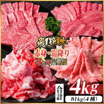 【ふるさと納税】【毎月定期便】飛騨牛　赤身・霜降り定期便　計4kg カルビ・赤身・ロース(焼肉・BBQ用)全4回【配送不可地域：離島】【4075144】