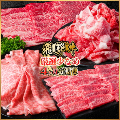 【ふるさと納税】【毎月定期便】飛騨牛 厳選少なめ定期便 計1.3kg カルビ・赤身(焼肉・BBQ用)ロース全4回【配送不可地域:離島】【4075147】|岐阜県羽島市