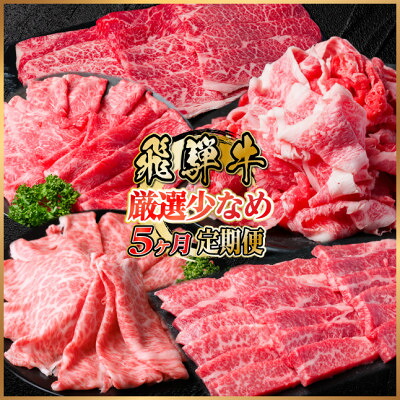 【ふるさと納税】【毎月定期便】飛騨牛　厳選少なめ定期便　計1.6kg　カルビ・赤身(焼肉・BBQ用)ロース全5回【配送不可地域：離島】【4075149】