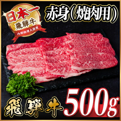 【ふるさと納税】飛騨牛 厳選赤身(焼肉・BBQ用)500g~【冷凍便】A4~A5等級 黒毛和牛【配送不可地域:離島】【G1543758】|岐阜県羽島市