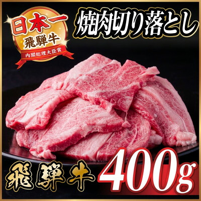 【ふるさと納税】飛騨牛 焼肉切り落とし 約400g タレ付き 訳あり【冷蔵便】A4～A5等級 黒毛和牛【配送不可地域：離島】【1721950】