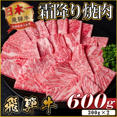 【ふるさと納税】飛騨牛 霜降り焼肉 約600g(約300g&times;2) BBQ用(上カルビ、肩ロース、カイノミなど)訳あり【配送不可地域：離島】【1733136】｜岐阜県羽島市
