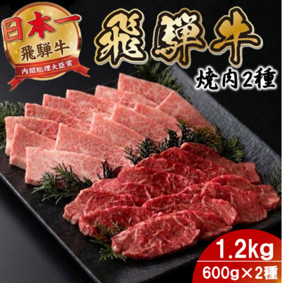 【ふるさと納税】プチ贅沢!飛騨牛焼肉2種セット6人前1.2kg 赤身・霜降り(モモ・カタ/バラカルビ)【配送不可地域：離島】【1753981】｜岐阜県羽島市