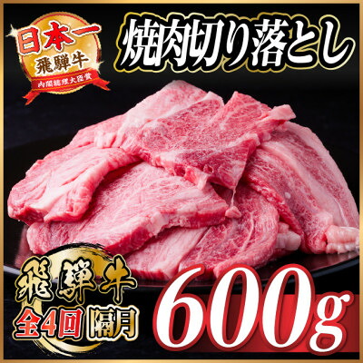 【ふるさと納税】【2ヵ月毎定期便】飛騨牛 焼肉切り落とし 約600g(約300g×2)タレ付き 訳あり全4回【配送不可地域：離島】【4084210】