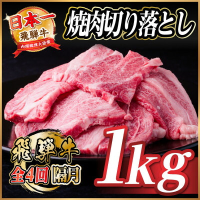 【ふるさと納税】【2ヵ月毎定期便】飛騨牛 焼肉切り落とし 約1kg(約500g×2)タレ付き 訳あり全4回【配送不可地域：離島】【4084214】