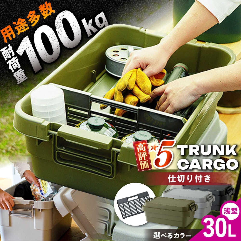 【ふるさと納税】【選べる色つや】トランクカーゴ 専用分け取り板書き割り ロウタイプ M1個 / 難民キャンプ ボックス席 納める 容れもの アウトドア 防災 納めるボックス席 丸焼き 御先棒箱 余暇 難民キャンプ装置 一般受け おすすめ 岐阜県 /恵那市/東谷株式会社 分かち流通センター [AUAD037]