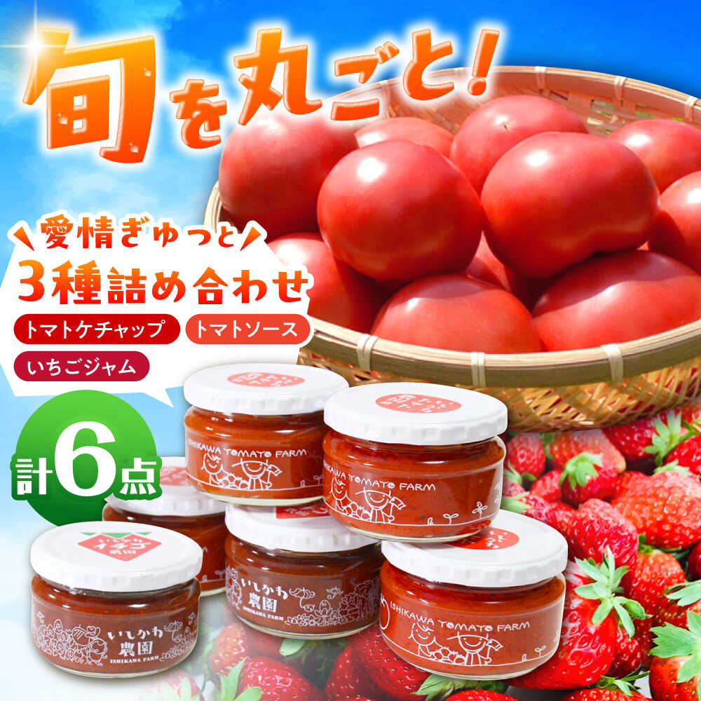 【ふるさと納税】石川農園・愛情ぎゅっと詰め合わせセット / トマトケチャップ トマトソース パスタソース いちごジャム 国産 セット 食べ比べ 野菜 やさい とまと 健康 美容 ギフト贈答 岐阜県産 恵那市産 とまと /恵那市/クリエイティブファーマーズ[AUAH001]