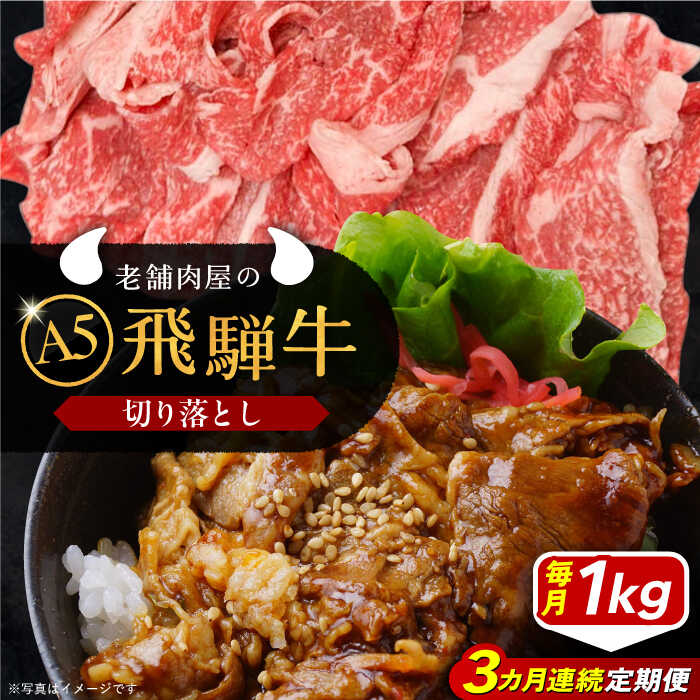 【ふるさと納税】【3回定期便】飛騨牛 切り落とし肉 A5ランク 500g×2パック (1kg) / 飛騨牛 切り落とし肉 和牛 国産 霜降り すき焼き 肉 牛肉 ブランド和牛 肉 牛肉 冷凍 焼き肉 バーベキュー BBQ お取り寄せ 贈答 ギフト 人気 おすすめ 岐阜県 /恵那市/岩島屋[AUAJ033]