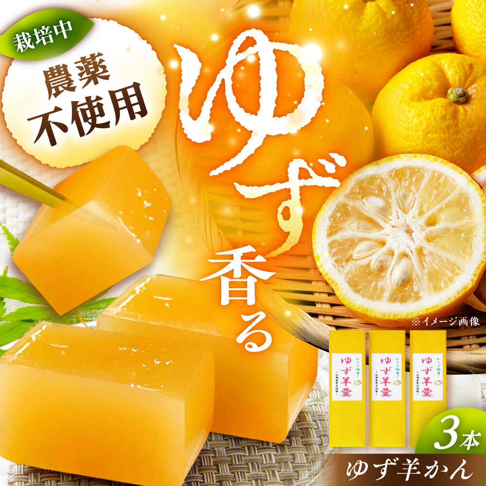 【ふるさと納税】ゆず羊かん 3本 / ようかん 羊羹 和菓子 柚子 ゆず 和菓子 お菓子 おかし おやつ デザート スイーツ 柚子 ゆず お取り寄せ /恵那市/かさぎゆず組合[AUAW014]