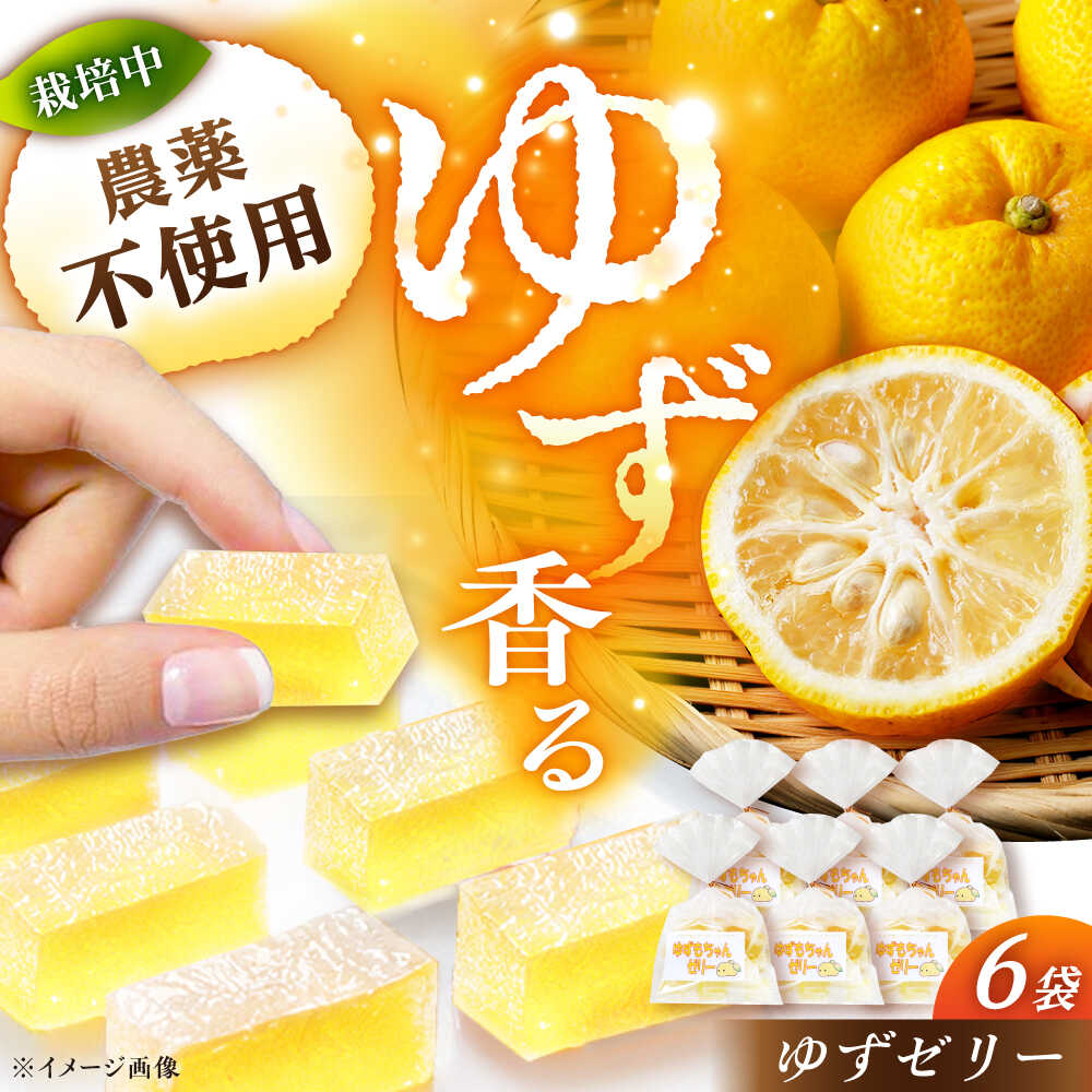 【ふるさと納税】ゆずゼリー 6袋 / ゼリー ゆずゼリー お菓子 柚子 ゆず 和菓子 お菓子 おかし おやつ デザート スイーツ 柚子 ゆず お取り寄せ /恵那市/かさぎゆず組合[AUAW015]｜岐阜県恵那市