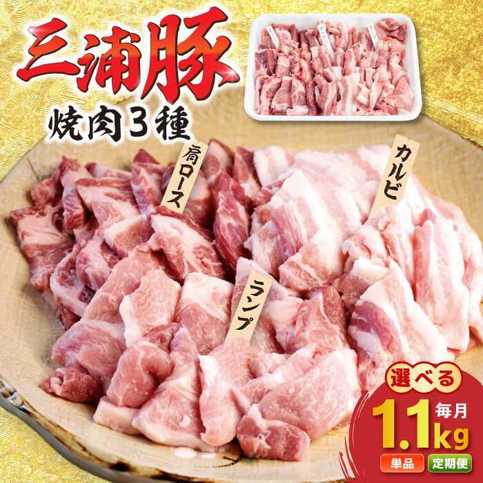 【ふるさと納税】【定期便も選べる！】豪華三浦豚 1.1kg / 焼肉セット 肩ロース カルビ ランプ ブランド豚 国産 ポーク ブランド豚 にく 肉 お肉 豚肉 ぶたにく焼き肉 焼肉 バーベキュー お取り寄せ 岐阜県産 恵那市産 /恵那市 / あづま精肉店[AUDL005]｜岐阜県恵那市