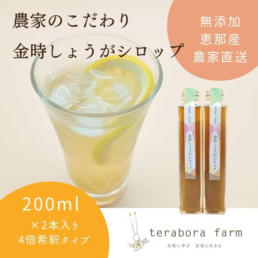 【ふるさと納税】こだわり金時しょうがシロップ 200ml×2本 ギフトセット / しょうが ショウガ 生姜 ジンジャー 生姜シロップ ジンジャーシロップ / 恵那市 / てらぼら農園[AUDZ001]