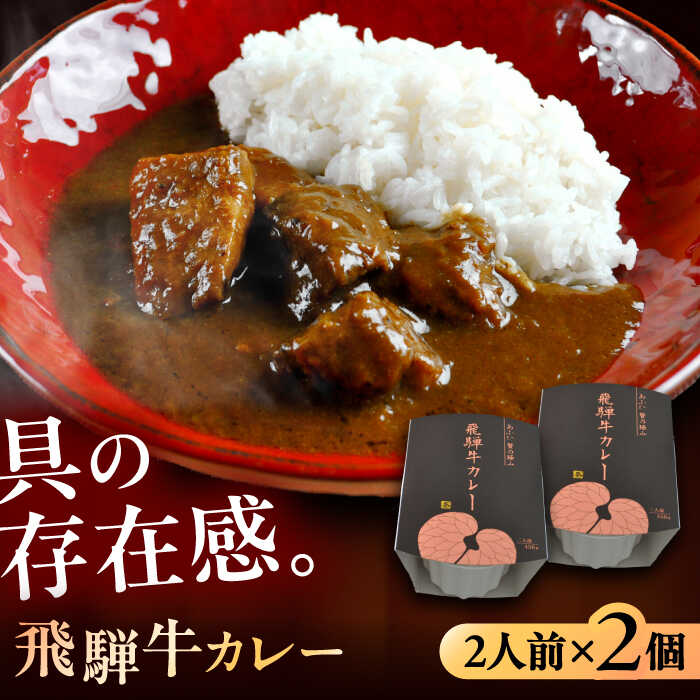 【ふるさと納税】-あふひ 贅の極み- 飛騨牛カレー 2人前×2個セット / レトルト カレー 牛肉 和牛 ブランド牛 高級用 人気 おすすめ 簡単 調理 長期保存 カレー カレーライス レトルトカレー ビーフカレー 保存食 /恵那市/テンポイント[AUEU001]