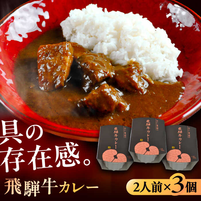 【ふるさと納税】-あふひ 贅の極み- 飛騨牛カレー 2人前×3個セット / レトルト カレー 牛肉 和牛 ブランド牛 高級用 人気 おすすめ 簡単 調理 長期保存 カレー カレーライス レトルトカレー ビーフカレー 保存食 /恵那市/テンポイント[AUEU002]