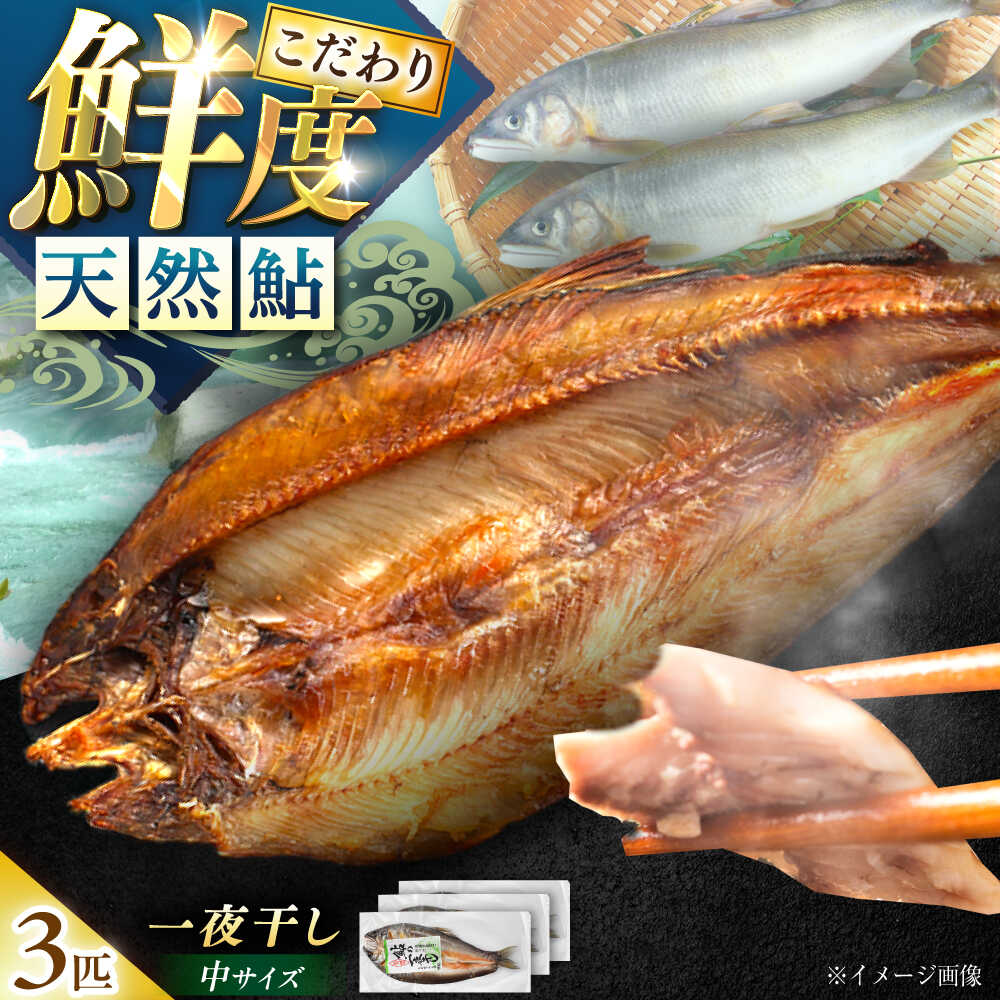 ふるさと納税 沼田市 あゆの一夜干し7枚入り