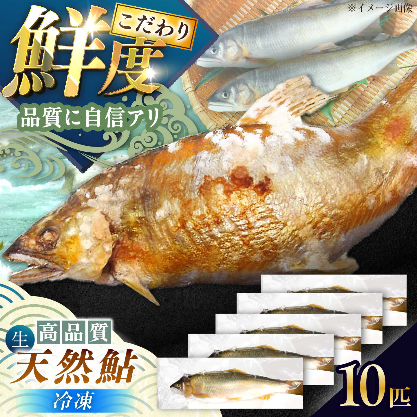 【ふるさと納税】【先行予約】＜冷凍＞清流 付知川産 天然あゆ 18～20cm 10匹入り 6月中旬以降発送 / あゆ アユ 鮎 天然 天然鮎 冷凍 付知川 魚介 海鮮 お取り寄せ /恵那市/恵那物産館[AUFS008] 26,000円