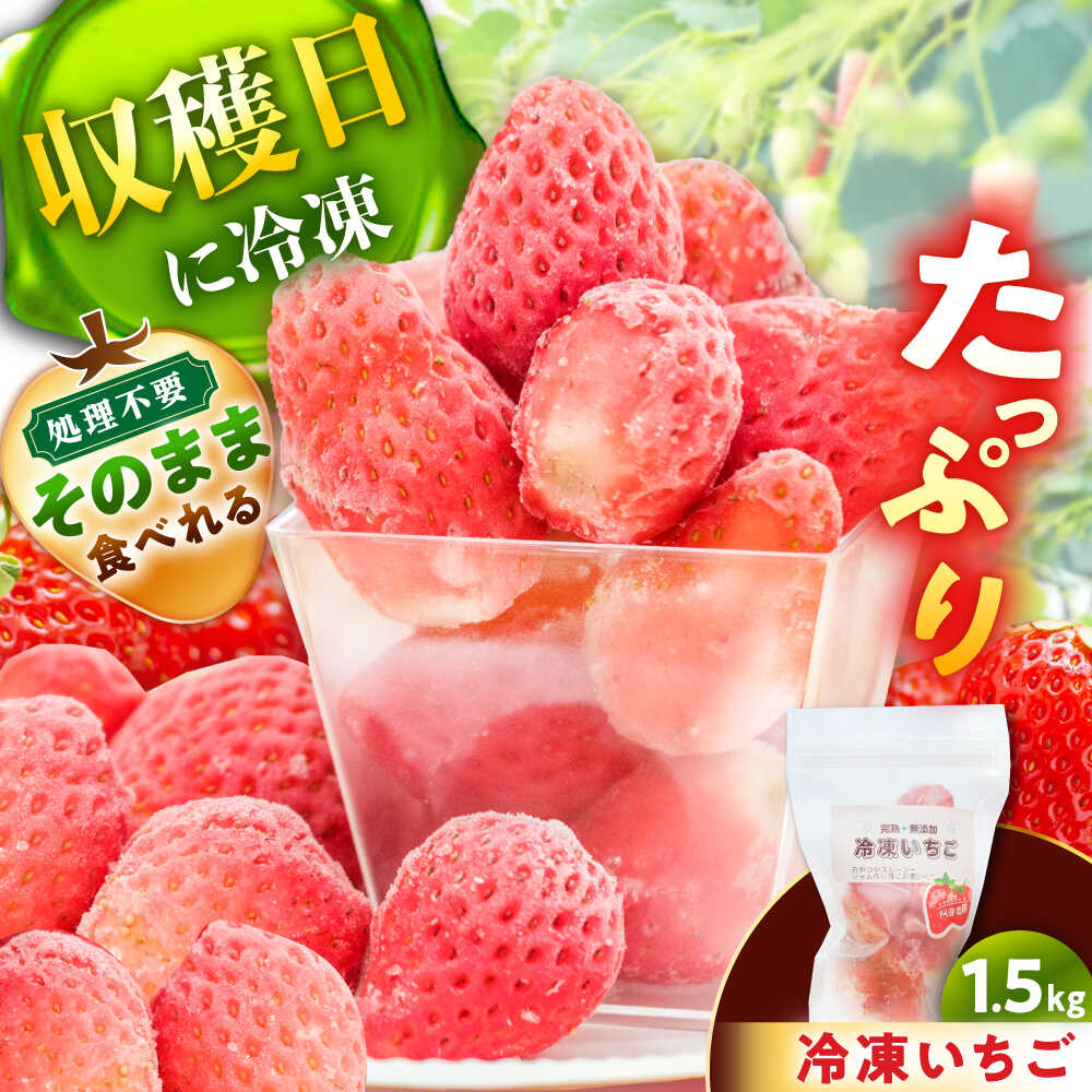 【ふるさと納税】冷凍いちご1.5キロ / 苺 いちご 冷凍 冷凍いちご / 恵那市 / 阿部農園[AUGA012]