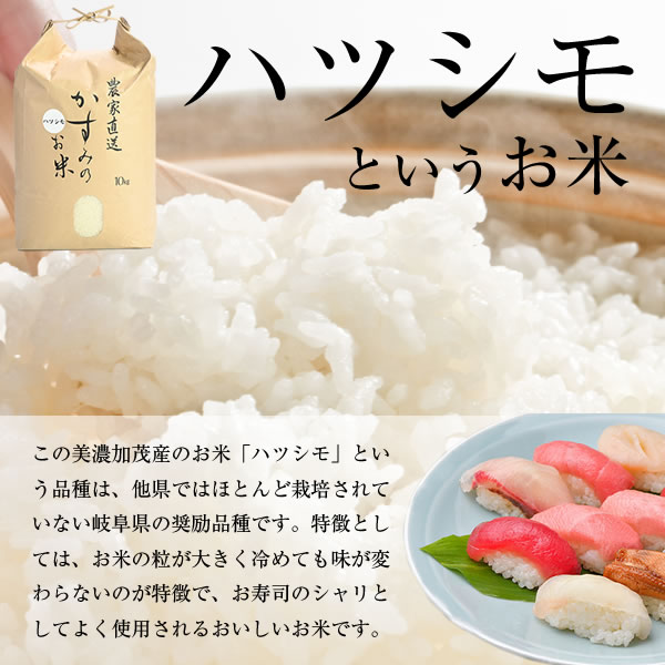 楽天市場】【ふるさと納税】飛騨牛 A5 等級 焼肉 用 400g（ モモ肉 ） | 肉のかた山 送料無料 M10S58 : 岐阜県美濃加茂市