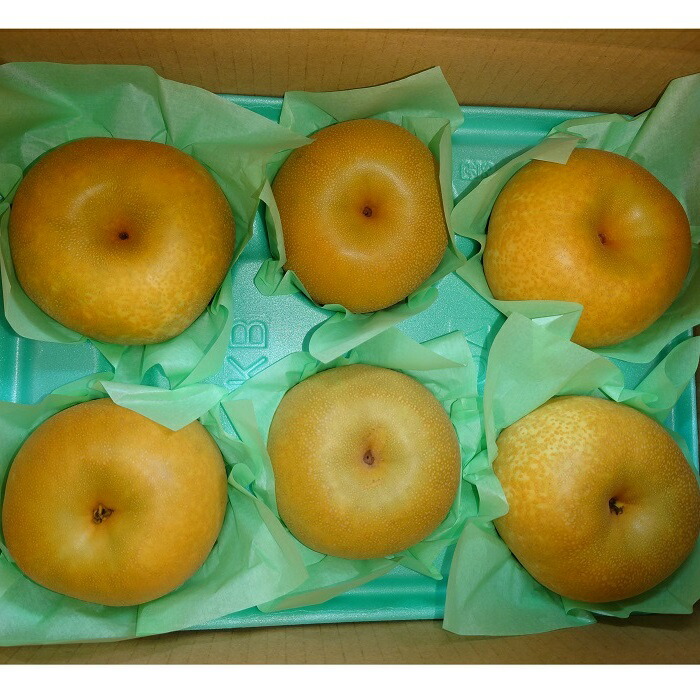 【ふるさと納税】【先行受付】福果園の樹上完熟梨 農家直送品種おまかせ（3kg程度）5～9玉 | 福果園 梨 なし 果物 果実 完熟 フルーツ 岐阜県 美濃加茂市 冷蔵 農家直送 新鮮 品種 おまかせ 豊水 福水 あきづき 甘太【2025年9月上旬-9月下旬 発送予定】