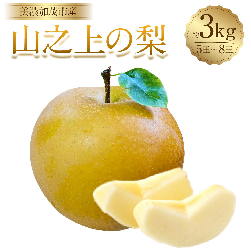 【ふるさと納税】《先行予約》山之上の梨（品種はおまかせ） 約3kg（5～8玉） 愛甘水・幸水・豊水・あきづき なし ナシ くだもの 果物 果実 フルーツ 冷蔵 岐阜県産 国産 岐阜県 美濃加茂市 送料無料 【2025年8月上旬～10月上旬発送予定】