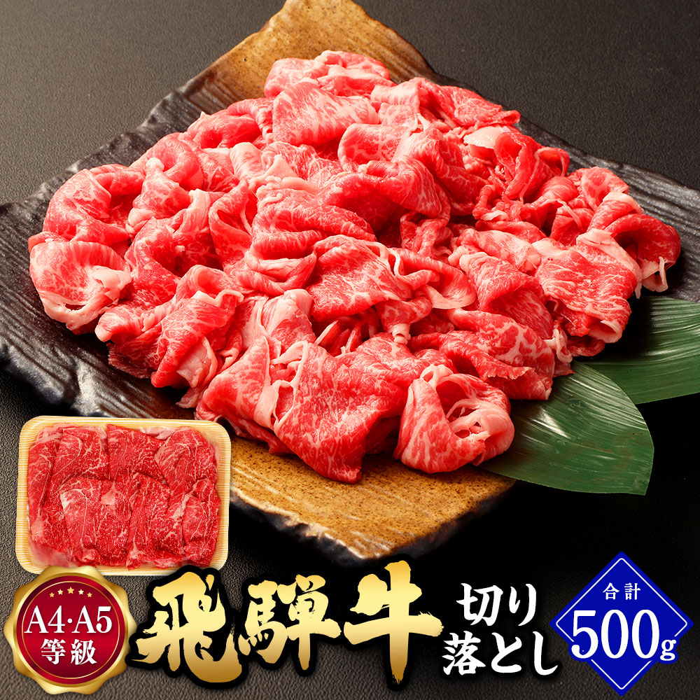 【ふるさと納税】\行列の絶えない人気精肉店が厳選/ 飛騨牛 切り落とし <選べる内容量> 500g / 計1kg A5 A4 等級 | 肉のかた山 岐阜県産 国産 牛 牛肉 お肉 ブランド牛 和牛 黒毛和牛 焼き肉 すき焼き しゃぶしゃぶ ギフト A4等級 A5等級 冷凍 送料無料 M11S66 007-0655