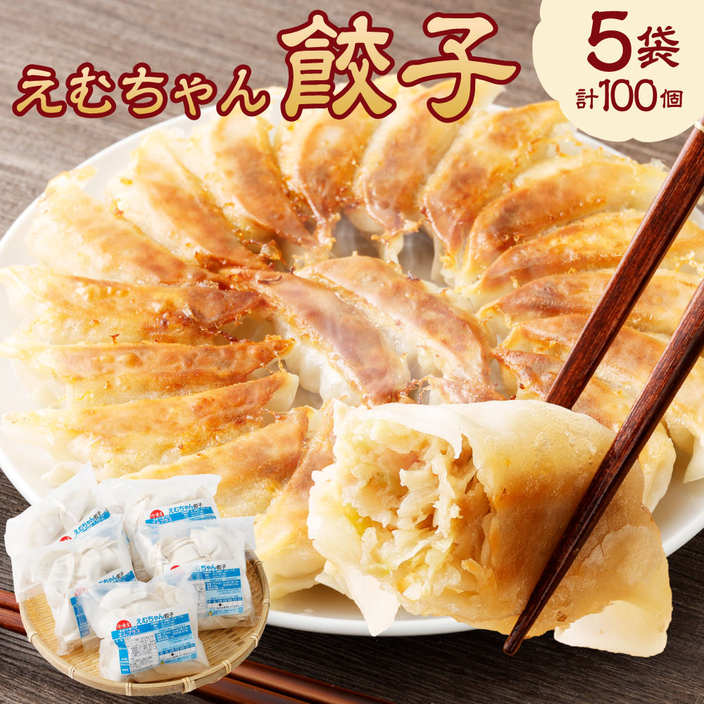 【ふるさと納税】冷凍 餃子 5袋 ( えむちゃん 5袋 100個) | NPO法人プラス・ワン 第２むくのき ぎょうざ ギョーザ 豚肉 晩ごはん おつまみ 弁当 惣菜 お取り寄せ 大容量 家庭用 和風 さっぱり 小分け 送料無料