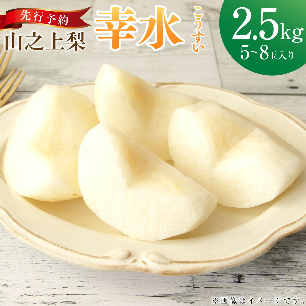 【ふるさと納税】《先行予約》「丸坂山田農園」山之上梨 幸水 1箱 約2.5kg（5～8玉） |  梨 ナシ なし くだもの 果物 果実 フルーツ 冷蔵 岐阜県産 国産 岐阜県 美濃加茂市 送料無料 【2025年8月上旬～8月下旬発送予定】