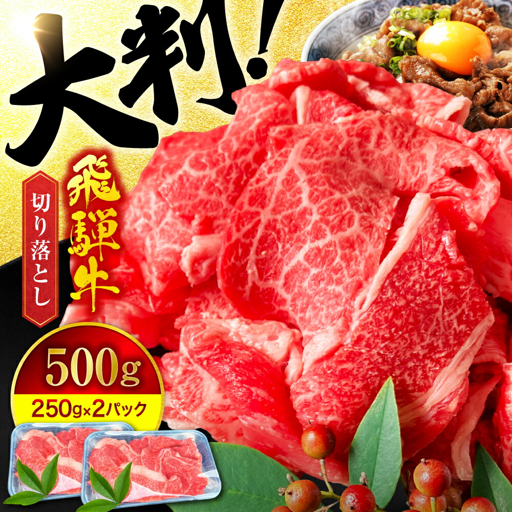 【ふるさと納税】A5ランク 飛騨牛 切り落とし 500g(250g×2) 【有限会社マルゴー】牛肉 飛騨牛 土岐市[MBE002]
