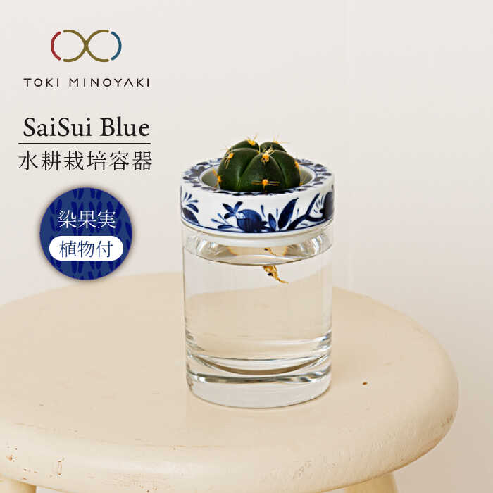 【ふるさと納税】【美濃焼】SaiSui Blue（染果実）植物付き【大東亜窯業】インテリア 雑貨 観葉植物 [MAG069]｜岐阜県土岐市