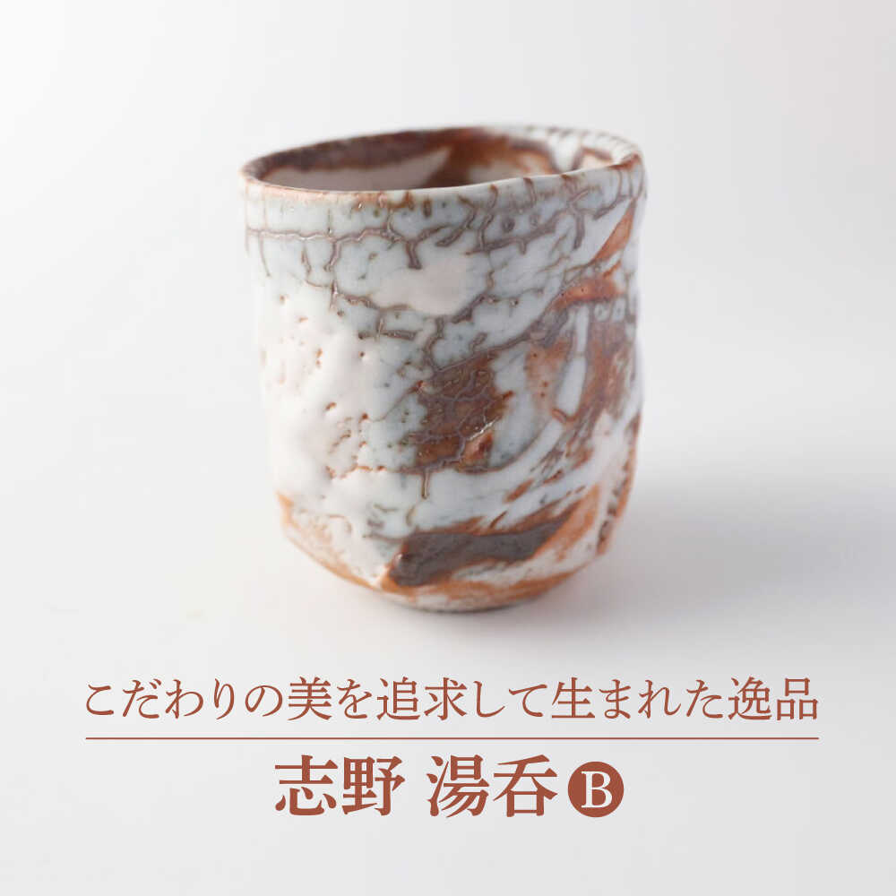 【ふるさと納税】【美濃焼】志野 湯呑B【博山窯】瀬戸もの 湯呑 志野焼[MBL036]