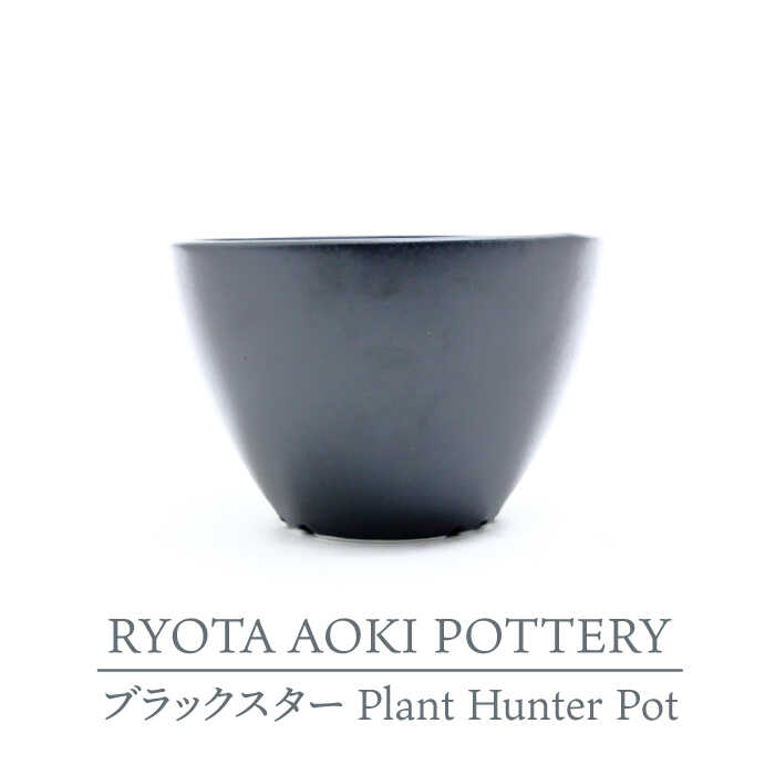 楽天市場】【ふるさと納税】【美濃焼】桜 Plant Hunter Pot