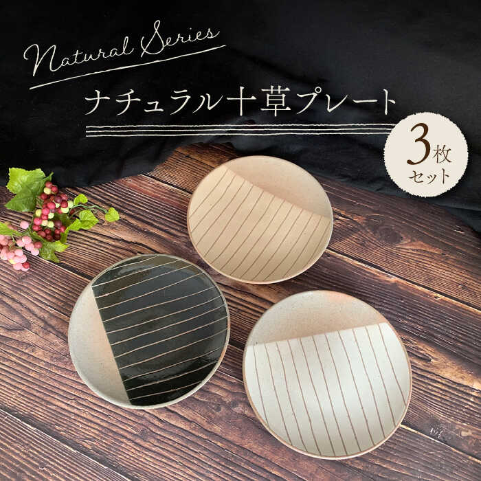 【ふるさと納税】【美濃焼】ナチュラル十草 プレート 3枚セット【竜仙窯】食器 皿 プレート [MDD019]