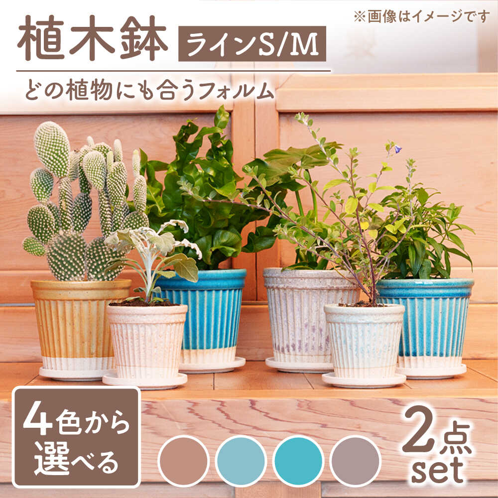【ふるさと納税】【美濃焼】色が選べる 鉢 伝達ルートS,M【BIJINTOUKI/もの言う花窯】 草木 大いさ かっこ良い 受け皿[MDF048] 植木鉢・プランター-植木鉢