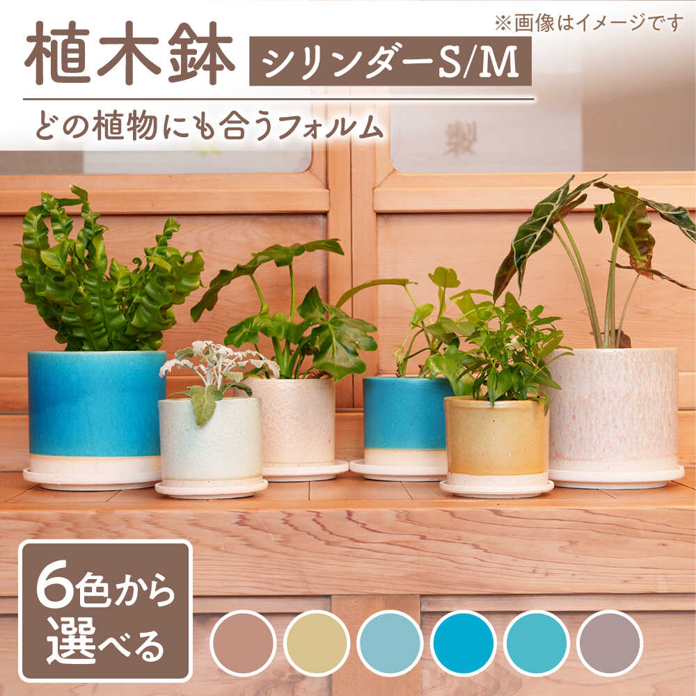 【ふるさと納税】【美濃焼】色が選べる 鉢 円柱S,M【BIJINTOUKI/もの言う花窯】 草木 大きさ 今めかしい 受け皿[MDF058]