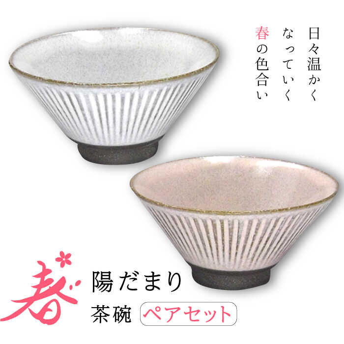 【ふるさと納税】【美濃焼】陽だまり 茶碗 ありの実書き割り 春【山勝美濃陶苑】HDM-3053EW 食器 上げ米茶碗 ありの実 [MEC005]