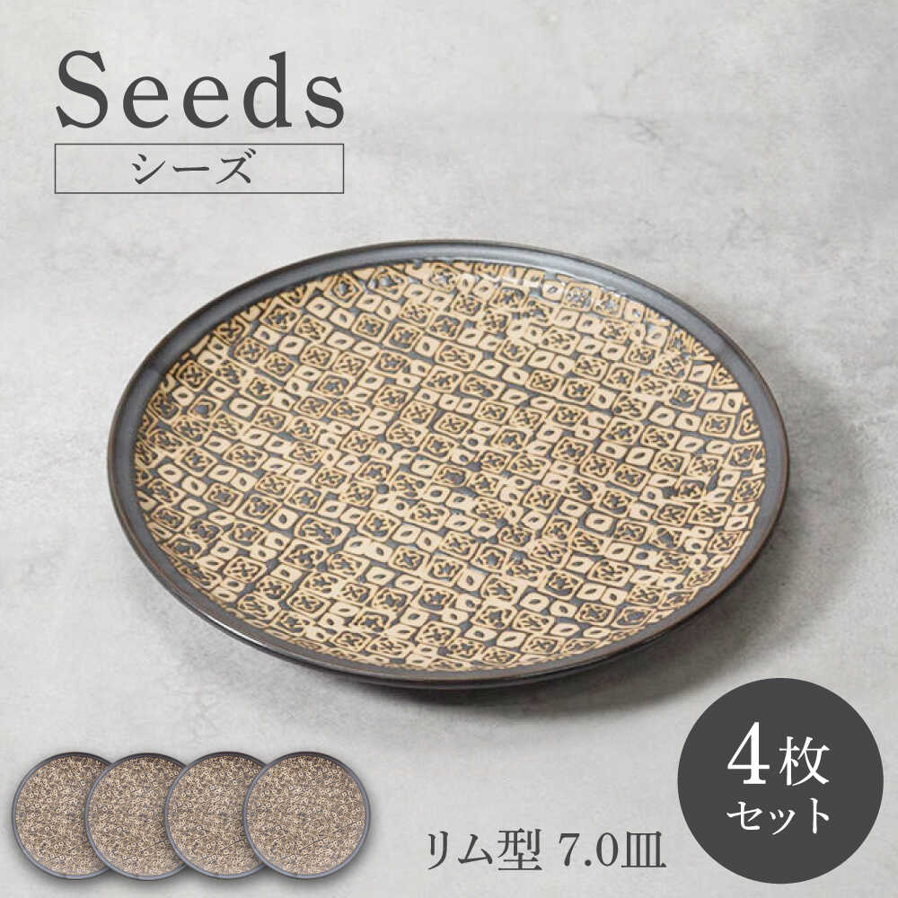 【ふるさと納税】【美濃焼】シーズ seeds リム型 7.0皿 4枚セット【カネ定製陶】　うつわ プレート 大皿[MEI109] 12,960円
