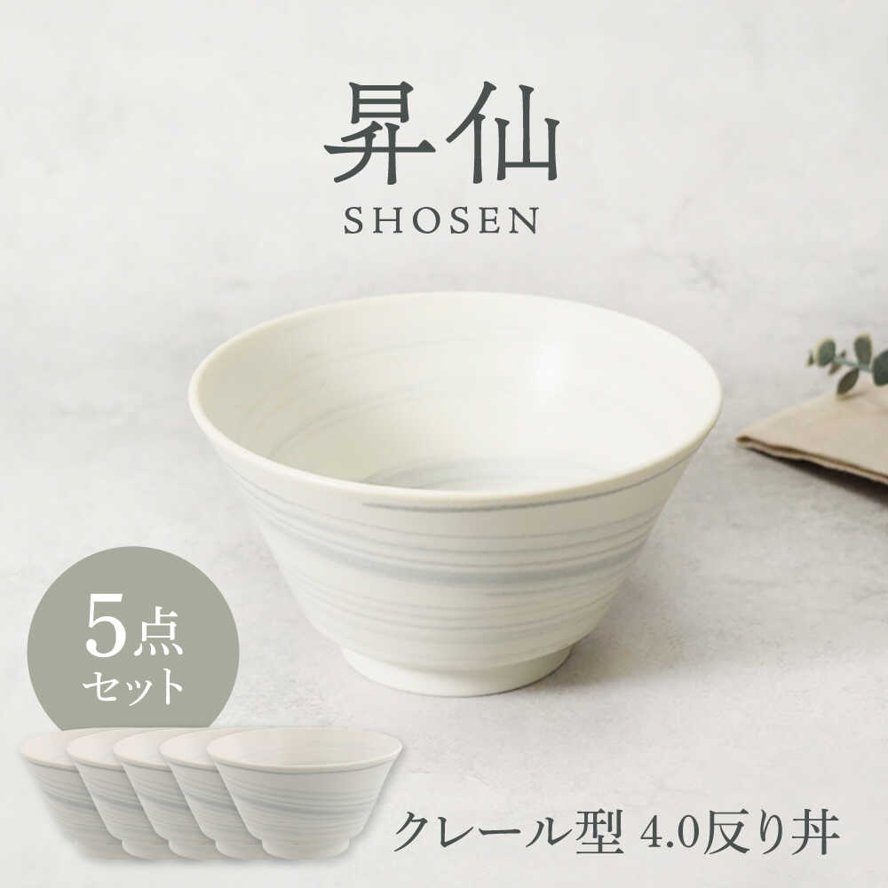 【ふるさと納税】【美濃焼】昇仙 しょうせん クレール型 4.0反り丼 5点セット【カネ定製陶】[MEI232]