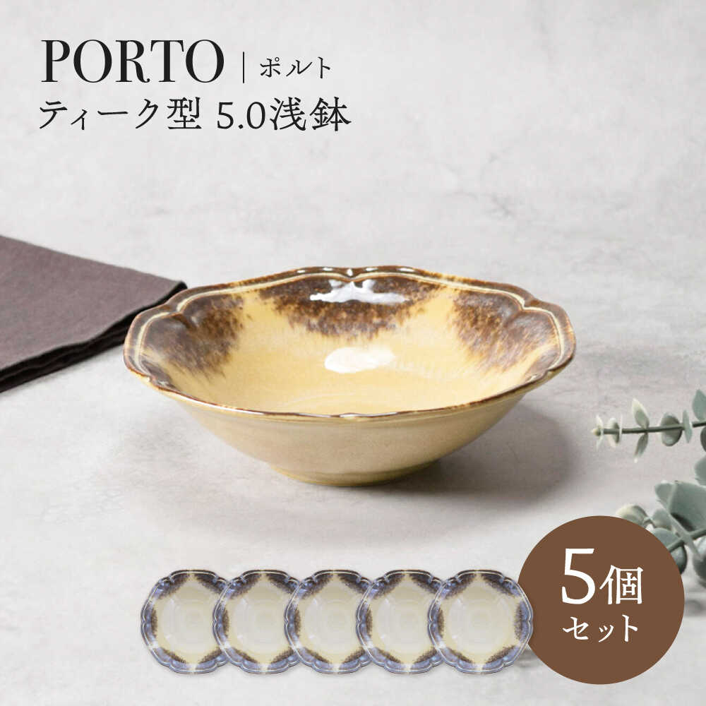 【ふるさと納税】【美濃焼】ポルト ティーク型 5.0浅鉢 5点セット【カネ定製陶】[MEI240]