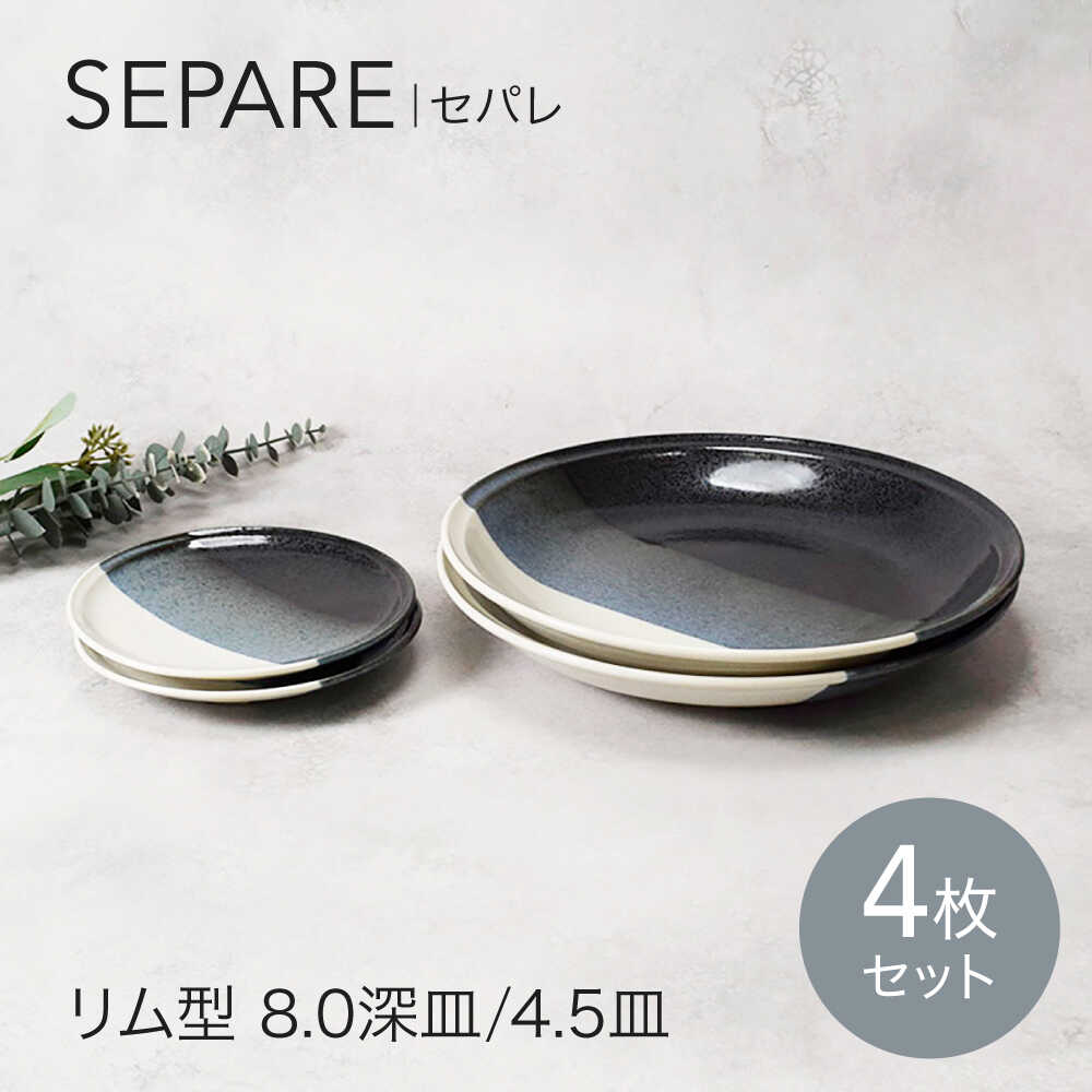【ふるさと納税】【美濃焼】セパレ リム型 8.0深皿 2点 ＆ 4.5皿 2点 合計4点 セット【カネ定製陶】プレート 皿 大皿[MEI257]｜岐阜県土岐市