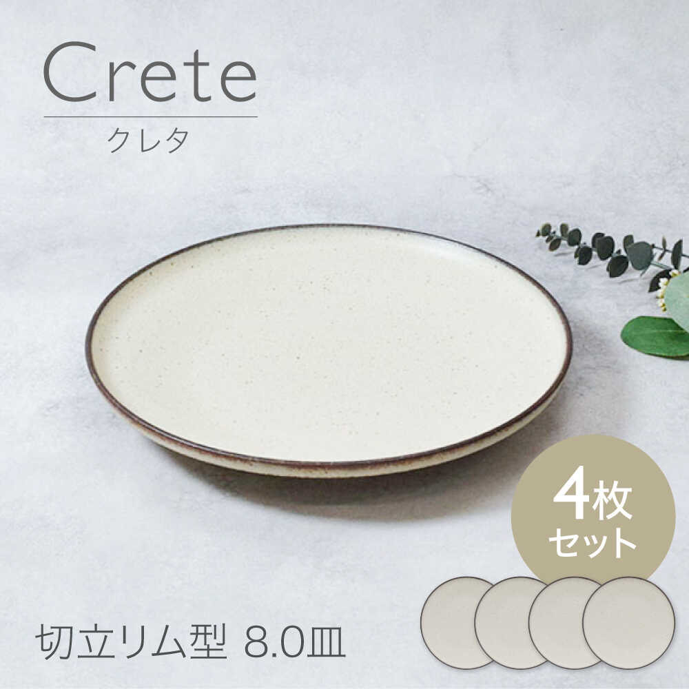 【ふるさと納税】【美濃焼】クレタ 切立リム型 8.0皿 4点セット【カネ定製陶】 プレート 食器セット ナチュラル[MEI265]
